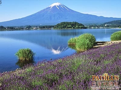 日本山梨县葡萄酒获地理标志保护