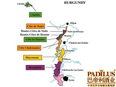 法国勃艮第葡萄酒产区（Burgundy）