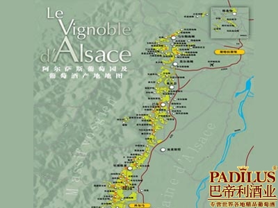 法国阿尔萨斯葡萄酒产区（Alsace）